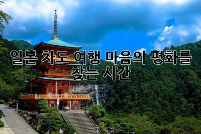 일본 차도(茶道) 여행: 마음의 평화를 찾는 시간🍵