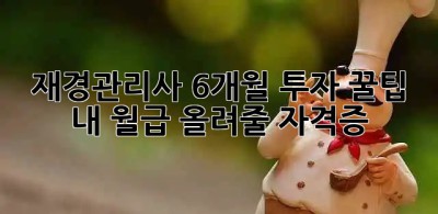 재경관리사 6개월 투자 꿀팁🍯: 내 월급 올려줄 자격증! 🚀