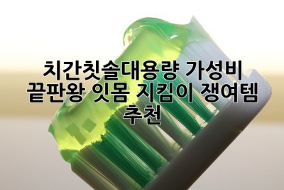 치간칫솔대용량🦷✨ 가성비 끝판왕 잇몸 지킴이 쟁여템 추천!