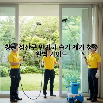 창원 성산구 반지하 습기 제거 청소 완벽 가이드