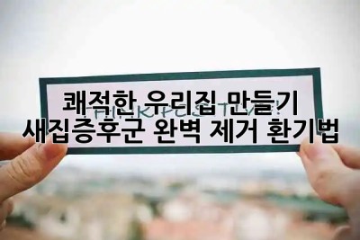 🏡 쾌적한 우리집 만들기! 새집증후군 완벽 제거 환기법 💨