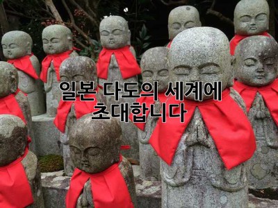 일본 다도의 세계에 초대합니다🍵