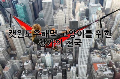 캣윈도우해먹: 고양이를 위한 창가의 천국